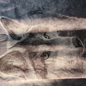 Vintage Wolf Tshirt Size M